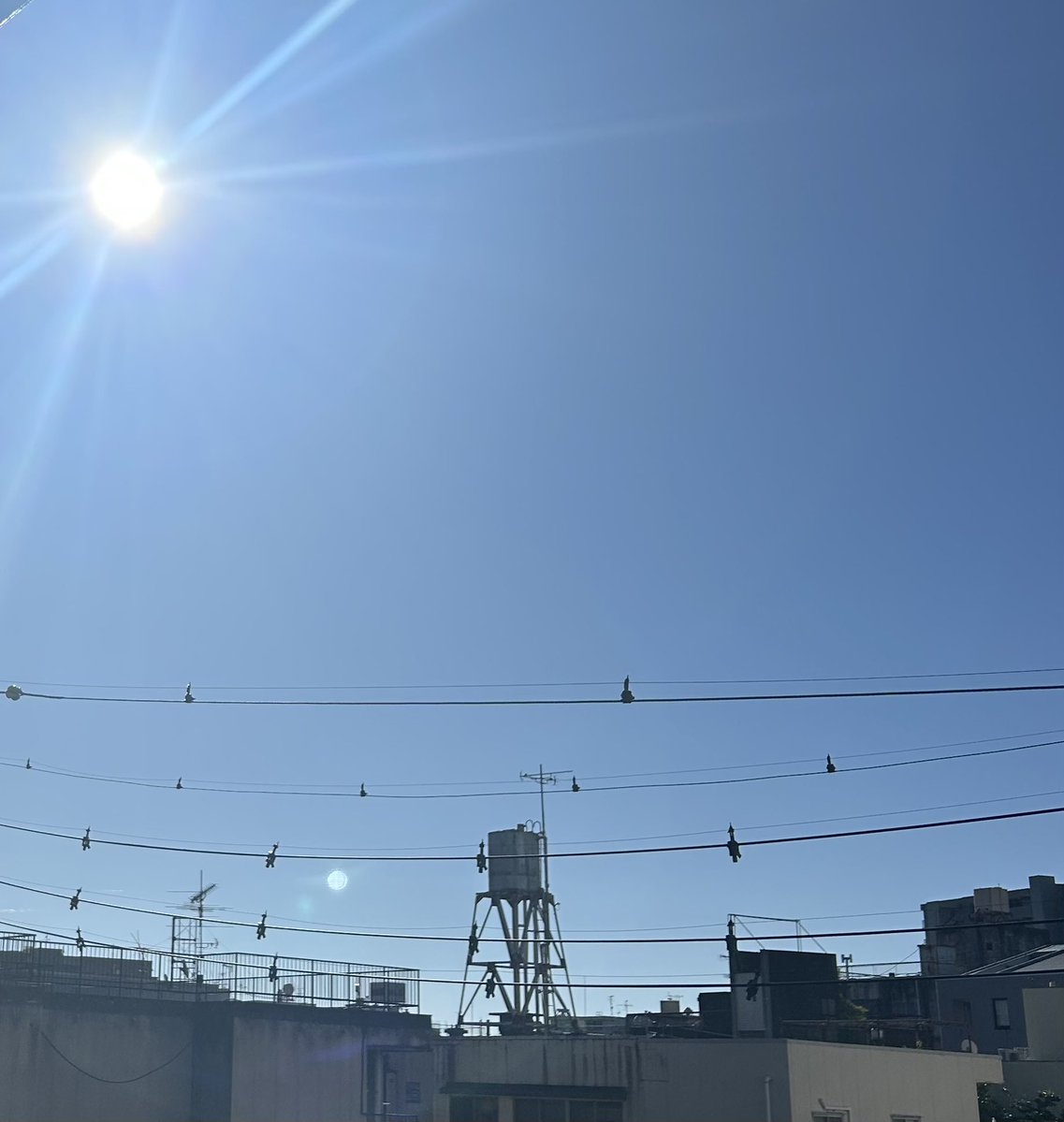 ryouteiokami's tweet photo. おはようございます。 今日も太陽！嬉しい！ 気持ちのいい青空が広がっています。
でも、これだけ日差しがあると今日は暑くなるのかなぁ？
#企業朝の挨拶 #大垣 #おはようございます https://t.co/fNDJO0i4Fl