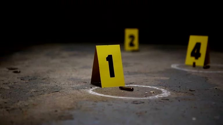 ElDia_do's tweet photo. Más que una solución los intercambios de disparos evidencian fallas en la estrategia contra la delincuencia, según experta

Por:Katherine Espino

Más detalles en:  https://t.co/RKy1LU5PGR

#PeriódicoElDía #noticias #delicuencia #intercambios #disparos https://t.co/gdTHR2mOuO