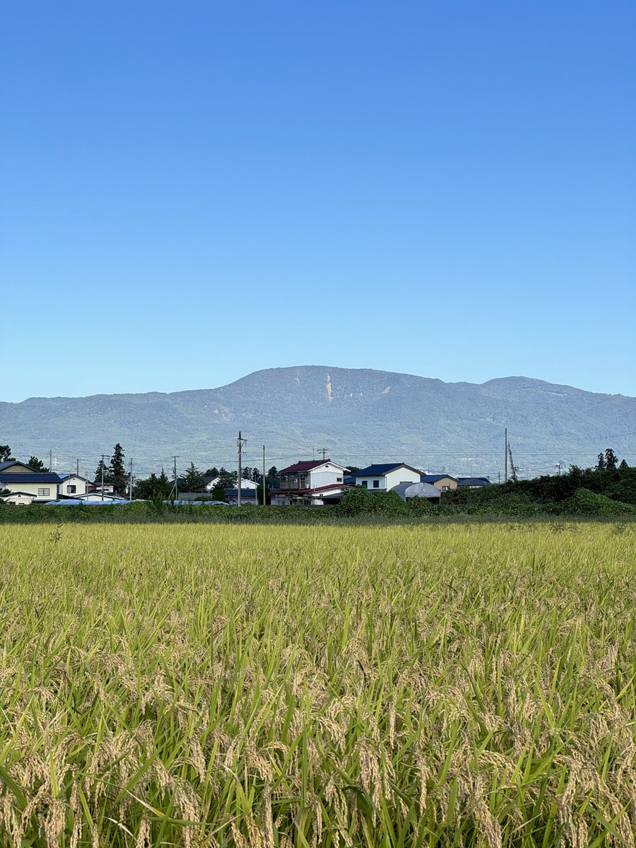 iyasi41yoi's tweet photo. おはようございます😄
爽やかな秋の空気
自然と深呼吸をしたくなるような
澄んだ青空が広がります🩵
視界も良く目も頭もスッキリ✨
これだけでリラックス効果ありますね☺️

梁川からも吾妻小富士が見えてまーす！
9基の風車も👀

今日も元気にガンバです☀️😊
#福島県伊達市梁川町
#空ネット #イマソラ https://t.co/aAW9bg0ZlQ