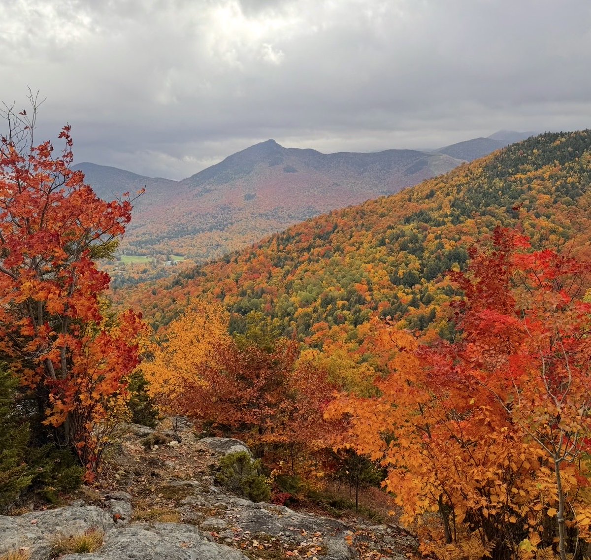 TommyHornWX1's tweet photo. A sea of red in the Adirondacks! The most vibrant foliage I have ever seen! Peak is here above 2000’ 🍁🍂 https://t.co/8eeffD67BV