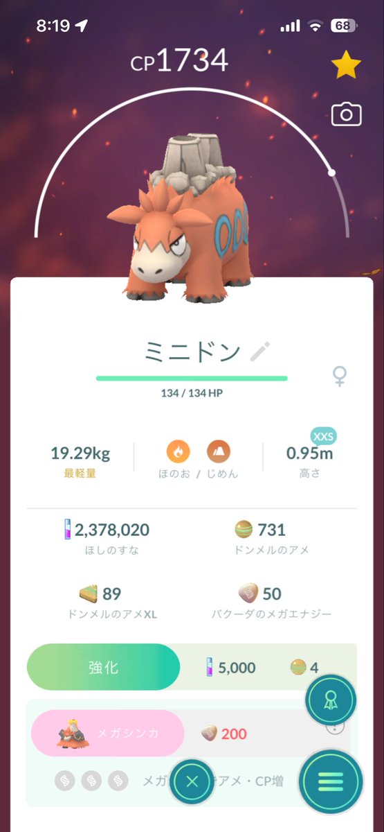 SENYOU_DQR's tweet photo. 買出しがてらポケGO進めてたら小さなドンメルを捕まえたので進化させてみた。

元々の子と1cmしか違わないのにこの重さの差はバグレベルでは🤣
3枚目の子と同じ種とは思えない（笑）

#ポケモンGO https://t.co/kxYUMyF2UJ