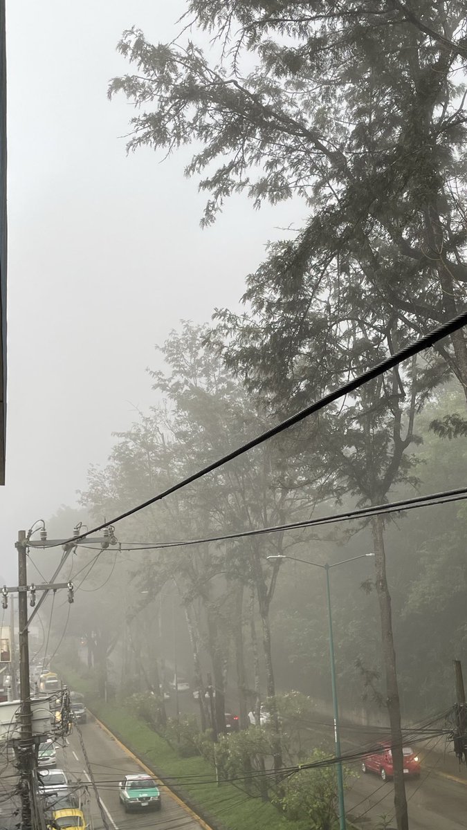 DarlingDan3's tweet photo. Agradezco la neblina pero me estoy deprimiendo más carajo https://t.co/ISIKXHJeuz