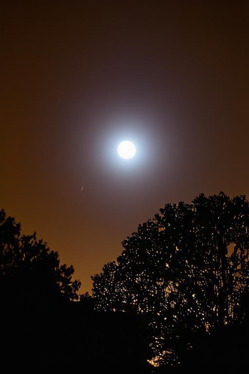 pingky2929's tweet photo. [Breeze drifts, moonlight glows,倩空移 is all the romantic vibe tonight. ]， https://t.co/H5pZRXyZ8D