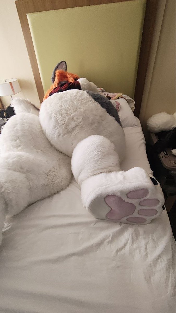 nicole_garani's tweet photo. @aether_mayhem Oh nooooo this paw photo fell out my pocket! Whoops! https://t.co/oGDjFvgw4B