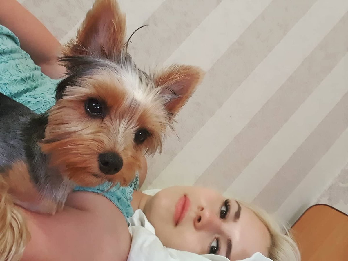 Isabella62377's tweet photo. My exclusive furry companion🐕 https://t.co/Gw1c8eHImf