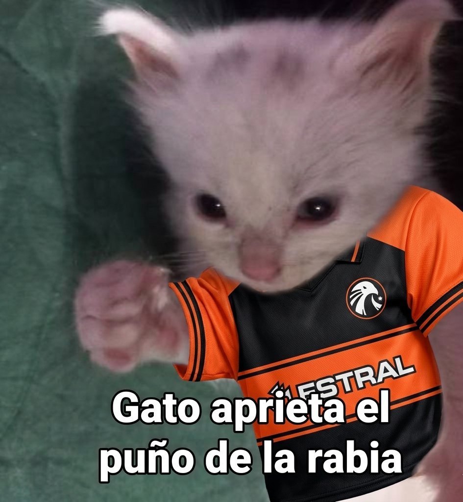 EstralEsports__'s tweet photo. Se acabo por hoy, pero volveremos. 

#SomosEstral https://t.co/fEmIPRQWiL