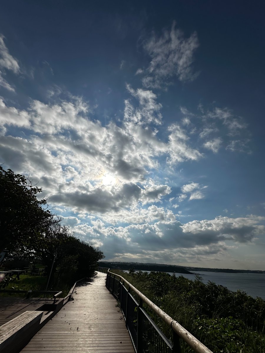 thecliff_2023's tweet photo. 10月2日(金)のソレイユの丘 The CLIFF CAMP&amp;BBQ

陽が出たり、曇ったりな天気

今週末はグランピング、フリーサイト、キャビンで若干空きがございます！

天気も良いようなので、ぜひこの機会に秋キャンプにお越しください！ https://t.co/6uJrE2nXid