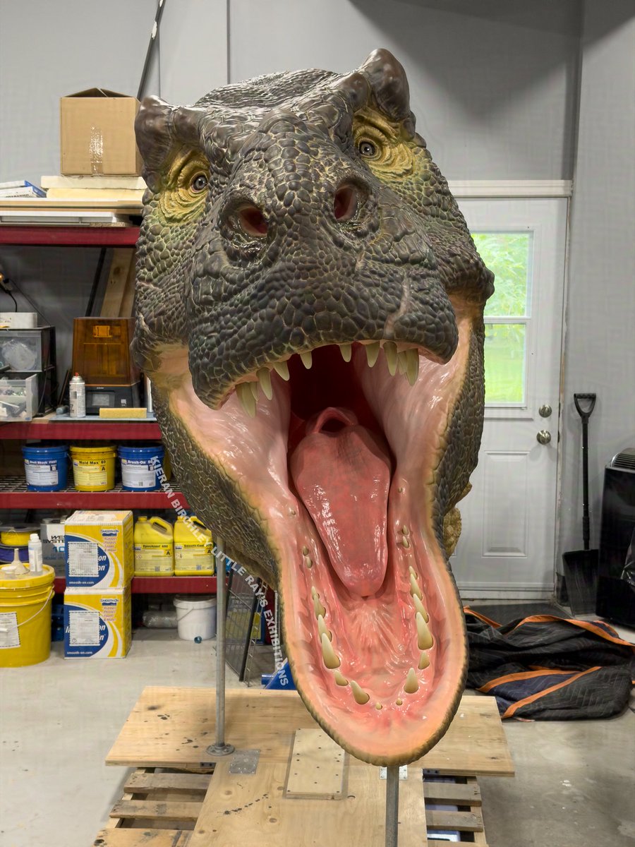 hellbendermodel's tweet photo. Proud to present my lifesize T. rex head, affectionately named Hannibal. I created this myself from start to finish- digital sculpture, 3D printing, painting, etc. Quite a learning curve involved but very pleased with how he turned out. https://t.co/zwN1eHW3Yh