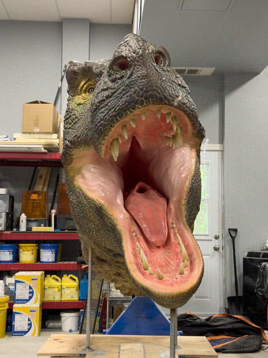 hellbendermodel's tweet photo. Proud to present my lifesize T. rex head, affectionately named Hannibal. I created this myself from start to finish- digital sculpture, 3D printing, painting, etc. Quite a learning curve involved but very pleased with how he turned out. https://t.co/zwN1eHW3Yh