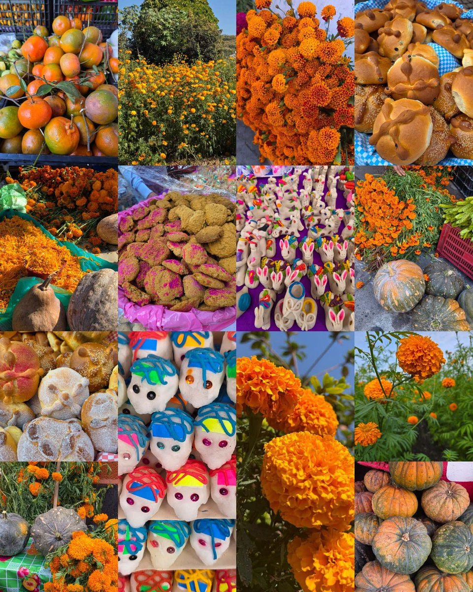 En_jupiter_'s tweet photo. Bienvenido, octubre

Ya huele a flores, pan recién hecho, chocolate, tamales y calabaza… a todo eso bonito que anuncia la magia del Día de Muertos. https://t.co/7MV8iHktjA