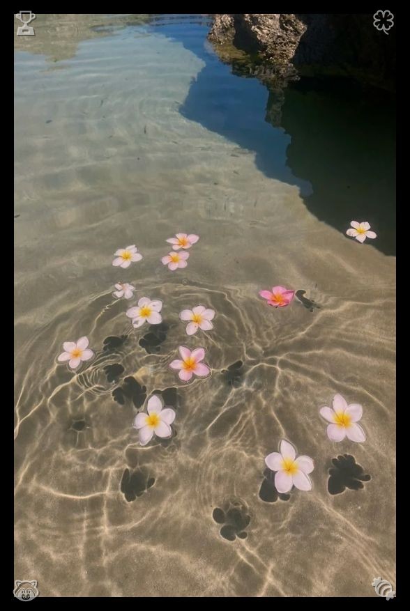 cabovegas's tweet photo. 🎏Glass dessert spoonVanilla pieFear is just your brain protecting you from change. Step forward with one tiny action, and you’ll realize most worries are far bigger than the challenges ahead of you. https://t.co/MGn3MJOOt6