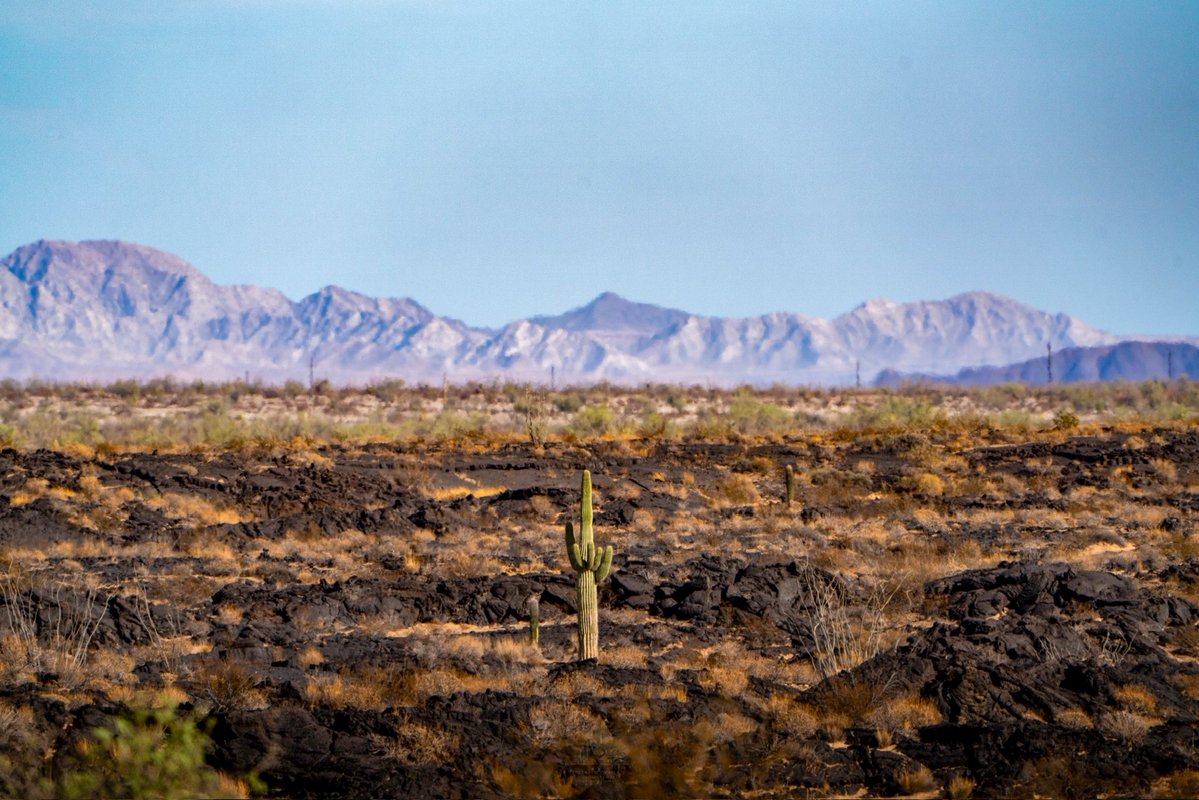GGerardox2's tweet photo. Un lugar que parece sacado de otro planeta: volcanes, cráteres, campos de lava, dunas móviles y la inmensidad del Gran Desierto de Altar. 

Aquí no vienes solo a mirar. Vienes a sentir la inmensidad, a desconectarte de todo y a vivir algo que no se parece a nada.  
SONORA🌵❤️ https://t.co/8BsHXHX9FT