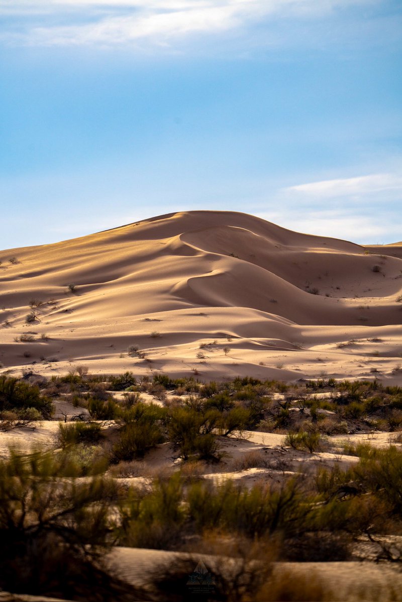 GGerardox2's tweet photo. Un lugar que parece sacado de otro planeta: volcanes, cráteres, campos de lava, dunas móviles y la inmensidad del Gran Desierto de Altar. 

Aquí no vienes solo a mirar. Vienes a sentir la inmensidad, a desconectarte de todo y a vivir algo que no se parece a nada.  
SONORA🌵❤️ https://t.co/8BsHXHX9FT