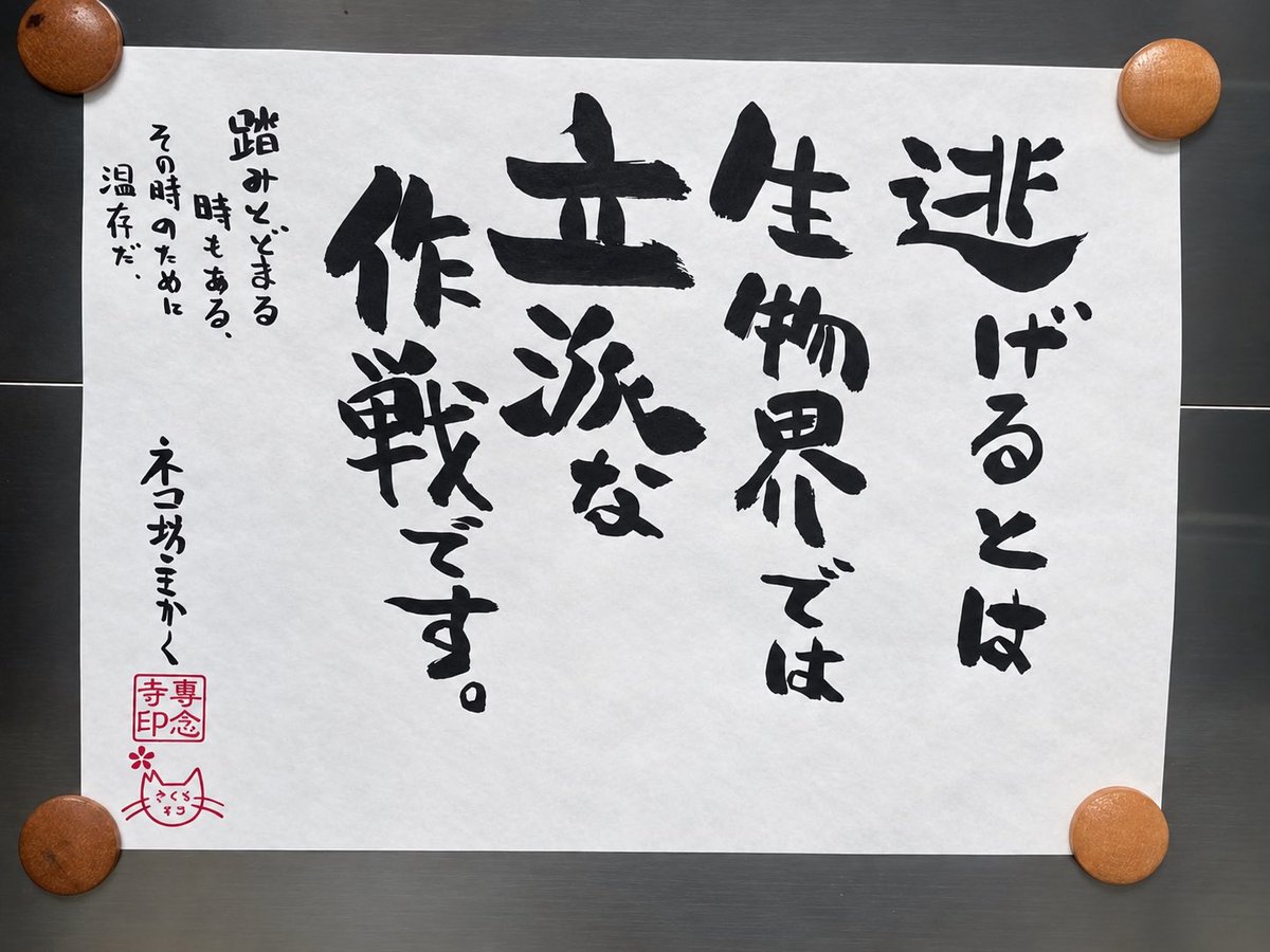 yabumoto610's tweet photo. 今日のお寺の掲示板 https://t.co/mPKgGAT7NS