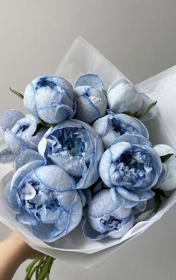 dreamyflowerrs's tweet photo. https://t.co/bTJsVwP4Yy