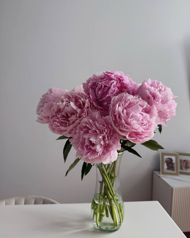 dreamyflowerrs's tweet photo. https://t.co/bTJsVwP4Yy