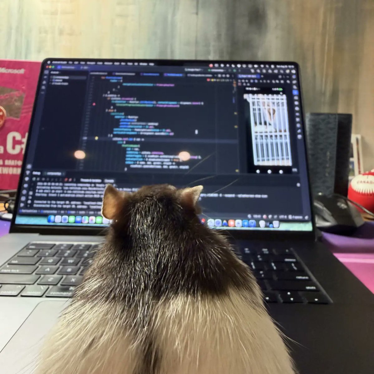 hackernoon's tweet photo. My first release: how I built Rattitude Care for Shipaton, a rat care app for iOS and Android with weight tracking, medication reminders and an AI assistant.
#shipaton #kotlinmultiplatform...Show more https://t.co/H2jQBCiBdK