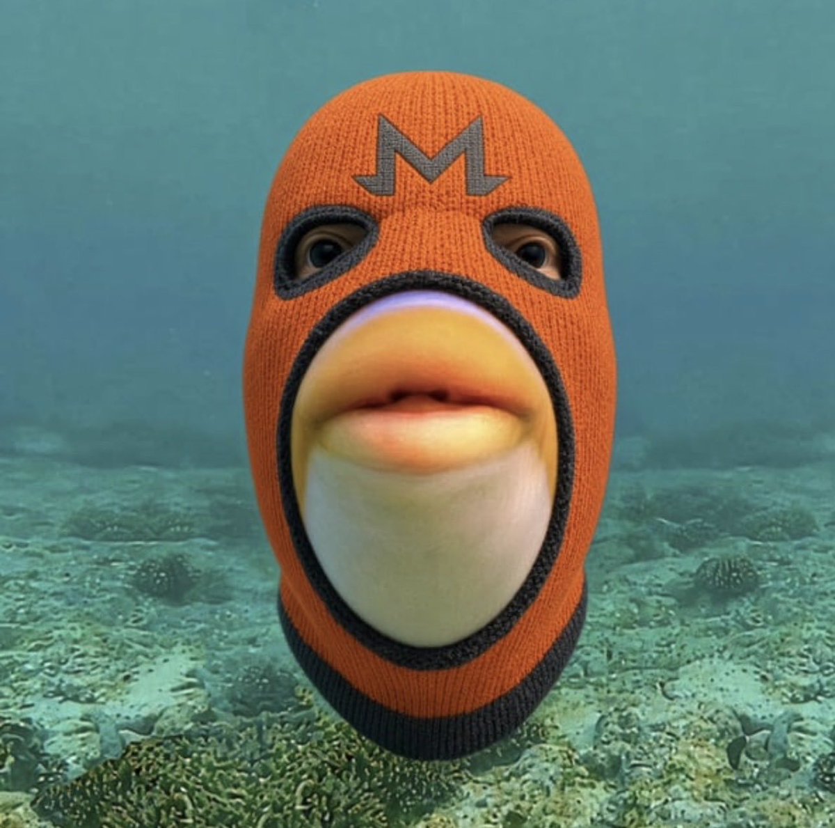 AlteredHiz's tweet photo. $XMR community,

I know memecoins get a bad reputation, and in plenty of cases that reputation is deserved. There are bad actors, endless rugs, and people who will attach themselves to anything for attention. But that doesn’t mean every meme, or every community around one, is trying to exploit what came before it. Sometimes it really is just people rallying around something funny, making memes and having a good time, with financial incentive attached, as there is with everything from BTC down.

$PHISH is a good example for me personally. I’d known about Monero for years, but I’d never really taken the time to understand it. Then I found a stupid fish that, through these new pairing/reward mechanics, rewards holders in $XMR. I went down the Monero rabbit hole, started learning about it properly, and now I’m stacking XMR myself.

That’s the part I think gets overlooked. Memes can bring completely new eyes into an ecosystem. If $PHISH goes nowhere, Monero is still Monero. Nothing changes. But if a community forms around it and the meme travels, suddenly people who might never have looked twice at XMR are talking about it, learning about it, and potentially owning it.

Bitcoin gets memed every day. Every major crypto does. None of those memes define the underlying asset or take anything away from it.

Sometimes a meme is just a meme.

And sometimes a fish sends you down the Monero rabbit hole.