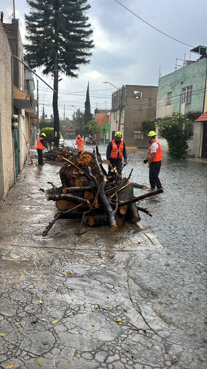 LourdesPaz24's tweet photo. 🚨Vecinas y vecinos, activamos el #OperativoAguaceros para atender de manera oportuna los reportes y afectaciones ocasionadas por la lluvia en distintos puntos de Iztacalco.🚨

📍 Agrícola Pantitlán, Granjas México, Infonavit Iztacalco, Agrícola Oriental, entre otras colonias.

Si necesitas realizar un reporte, comunícate vía WhatsApp al 55 2746 7881. Trabajamos en territorio para cuidar a las familias de Iztacalco.