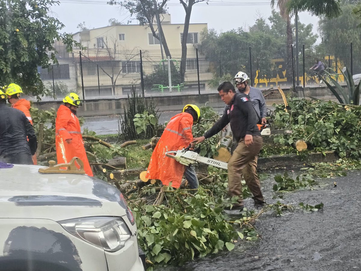 LourdesPaz24's tweet photo. 🚨Vecinas y vecinos, activamos el #OperativoAguaceros para atender de manera oportuna los reportes y afectaciones ocasionadas por la lluvia en distintos puntos de Iztacalco.🚨

📍 Agrícola Pantitlán, Granjas México, Infonavit Iztacalco, Agrícola Oriental, entre otras colonias.

Si necesitas realizar un reporte, comunícate vía WhatsApp al 55 2746 7881. Trabajamos en territorio para cuidar a las familias de Iztacalco.