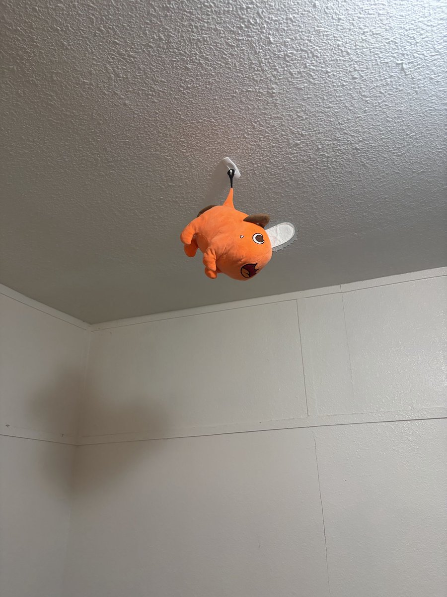 FaggotFurryDeer's tweet photo. i deleted the original post a year ago, maybe a little longer
after i moved i didnt have the chance to put pochita on the ceiling as punishment like i did at the old house
as of today he returns to the ceiling and i do not plan on letting him down https://t.co/eleal9jato