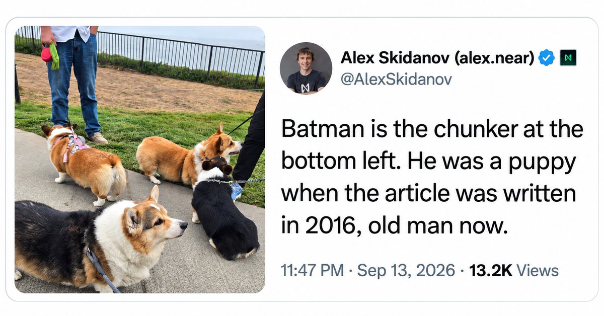 BatmanOnNear's tweet photo. @greenytrades NEAR’s co-founder has a corgi named Batman… how could we NOT make memes? 🦇🐾

Meet BATMAN on NEAR. Come for the dog, stay for the memes.

https://t.co/MH7s5oqdZZ

$BATMAN $NEAR https://t.co/y4yMwtPus4
