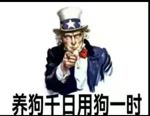 Iem5S5's tweet photo. @BA7ABC 用着简体中文骂着自己的爹 你是想笑死谁😹 https://t.co/qA6GXfXi3B