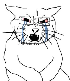 vampooze2's tweet photo. cats when you dont let them play with the catkiller900 https://t.co/n4TbyGnBeK