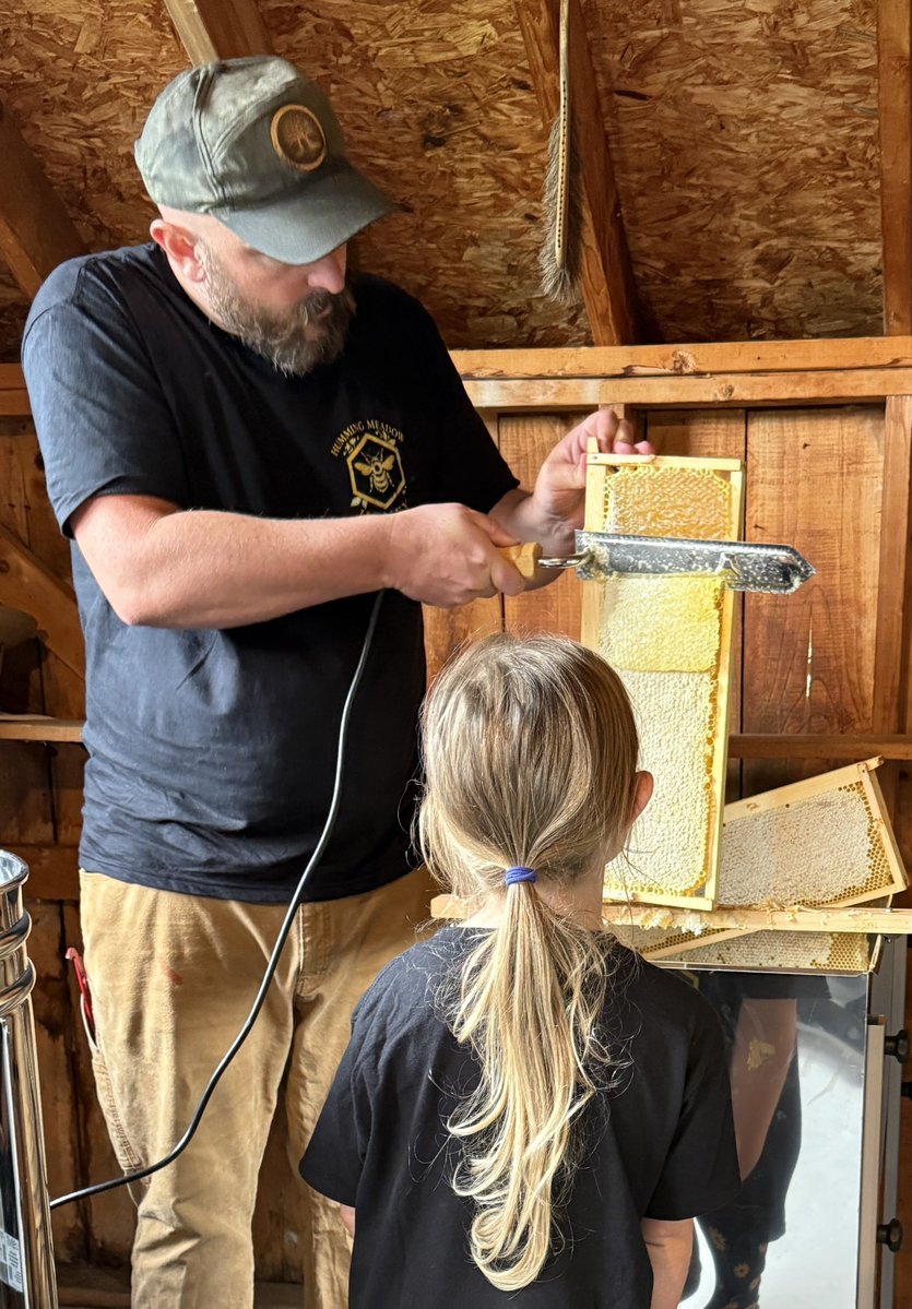 OldHollowTree's tweet photo. Almost a year ago you helped us launch our family business, Humming Meadow. We started with raw honey that never touches plastic and beeswax candles. You cheered us on and told us to put our logo on a mug. Then we made a blanket. 

A year later and here we are…

A whole USA-made home goods brand exclusively using natural fibers that has grown beyond the bee yard and now celebrates the little world around home and all the family, nature, and traditions that root us there. 

Our entire family is involved. My wife started making the candles before she taught my father, my mother helps us pack orders, and the children keep us going. 

Thank you for sticking with us this past year, for cheering on our little Humming Meadow. 

We’ll keep going together.