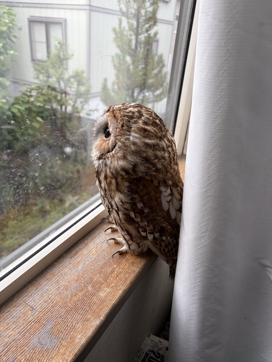 i6r1_'s tweet photo. 外に夢中で飼い主にかまってくれない https://t.co/qdgSTPWSOS