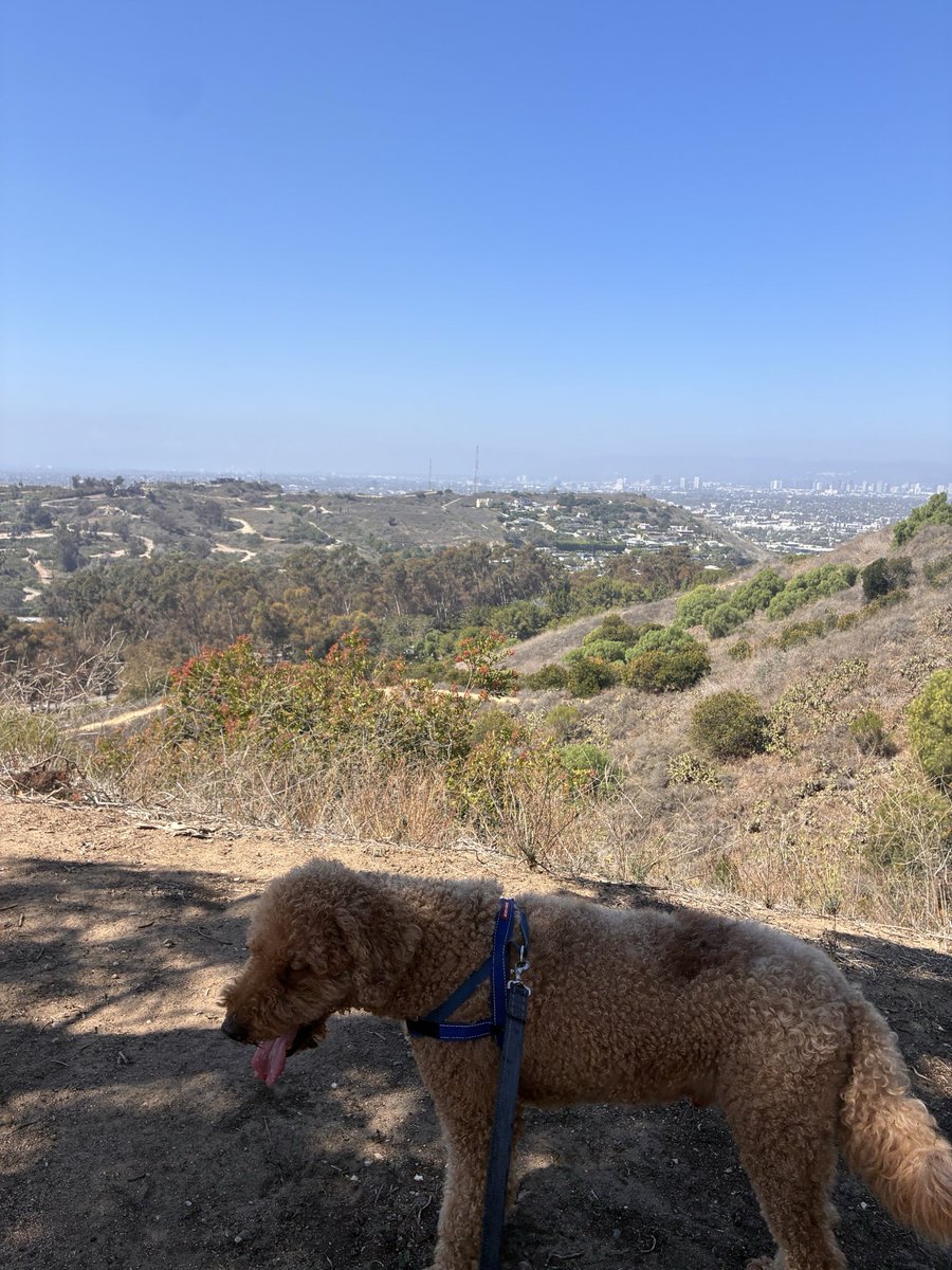 chantillyberryy's tweet photo. Another hike today!! https://t.co/KOrqgvIRjO