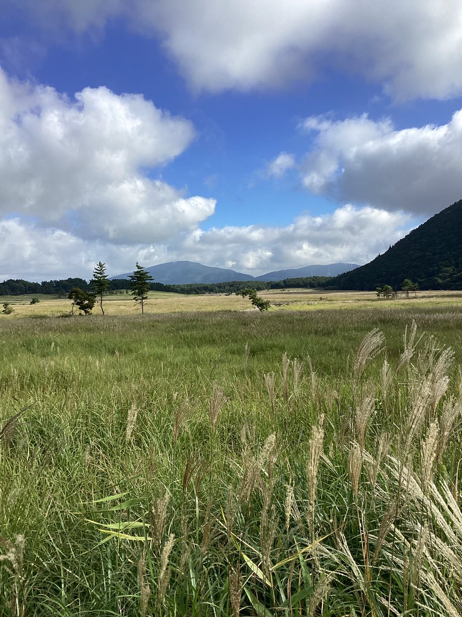 chojabaru_vc's tweet photo. 10月2日(火)

気温　16℃
天気　晴

暑くもなく，寒くもない爽やかな朝です。これぞ初秋，といった感じです😊ススキもずいぶん伸びてきました。 https://t.co/jRWCIQR0lO
