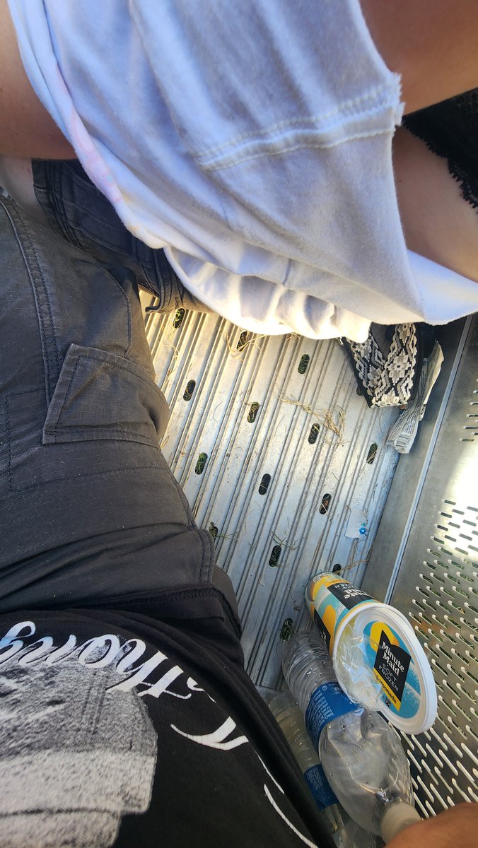wr0aig's tweet photo. was sitting down and i got up and ts was dangling from the ceiling 😭 tf https://t.co/zMaK6ykeCH