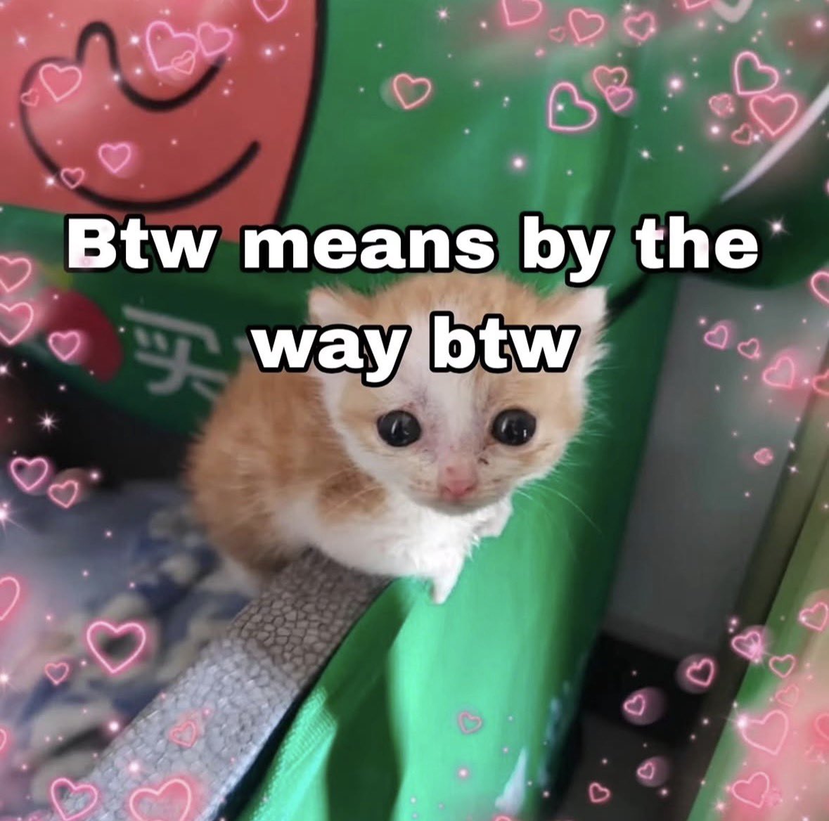 literallymecats's tweet photo. https://t.co/atwCYu5qqJ
