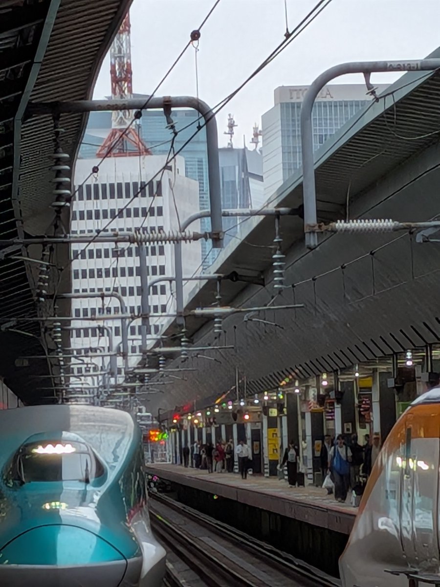 kohure555's tweet photo. 東京は曇り空になってしまいましたが
現地は☀とのこと
良かった https://t.co/fK2sMJDTev