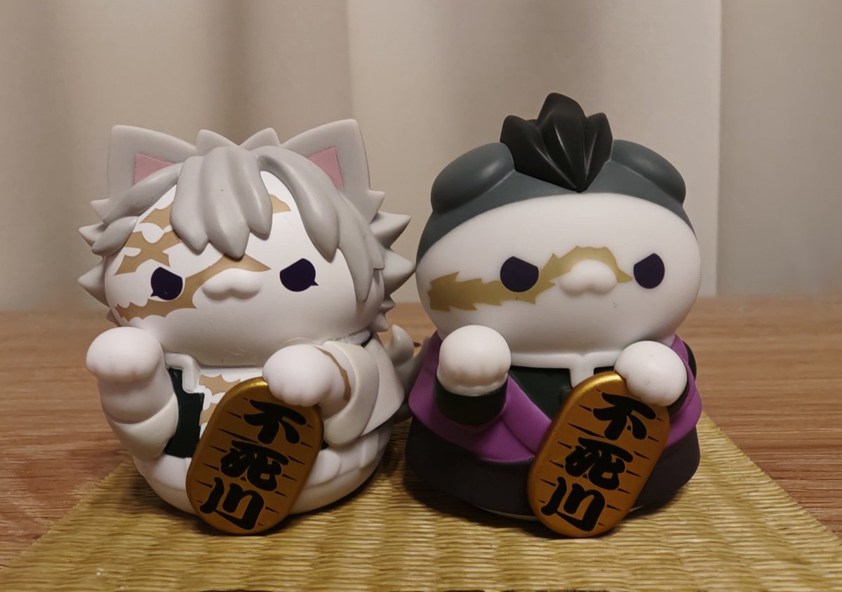 cameidea's tweet photo. 🐈️兄弟をお迎えしました。やめろォを再現してみたけど、じゃれ合ってるようにしか見えず……😂 https://t.co/LcZSgEJauw