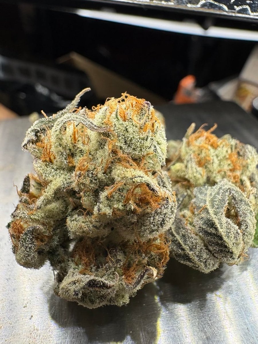 MaconhanoX's tweet photo. Cardápio📋👇
https://t.co/SnBZvJrdEw

PRENSADO
CAPULHO
GOLD
SKANK
COGUMELOS
DRY
HAX
ICE
COMPRA MACONHA 
MACONHA NO RIO DE JANEIRO
À VENDA

#delivery #riodejaneiro #maconha #skank #SãoGonçalo #colombiagold #DuquedeCaxias #NovaIguaçu #cremas #ice #fullmelt #cremas #crumble #flor https://t.co/I0OE2HTF3p
