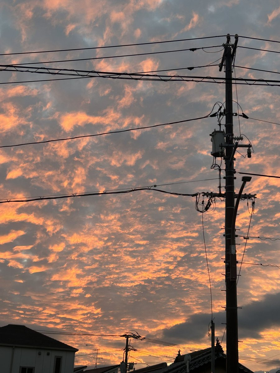 sumika0828's tweet photo. 一昨日くらいにとった夕焼け、エモかった(⸝⸝ ´艸`⸝⸝) https://t.co/xdx51CiQPT