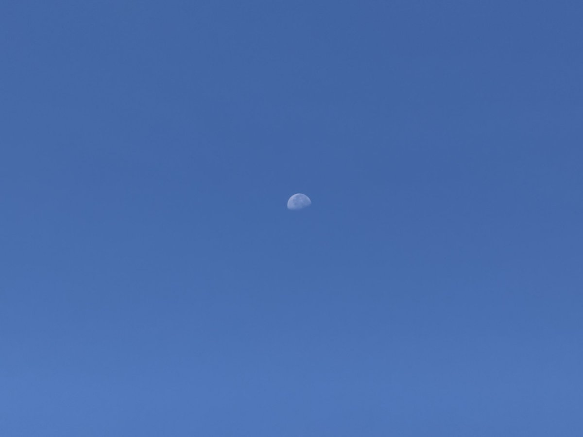 oceanmarine00's tweet photo. おはようございます！
本日の泉大津市もほぼ雲がなく、快晴です！風は昨日より強く吹いていますが、
とても過ごしやすい気候です！！
今日も1日頑張りましょう！！
＃イマソラ　＃泉大津市
＃企業公式が地元の天気を言い合う
 #スヌーピーの日
 #望遠鏡の日 https://t.co/841FpjdEMv