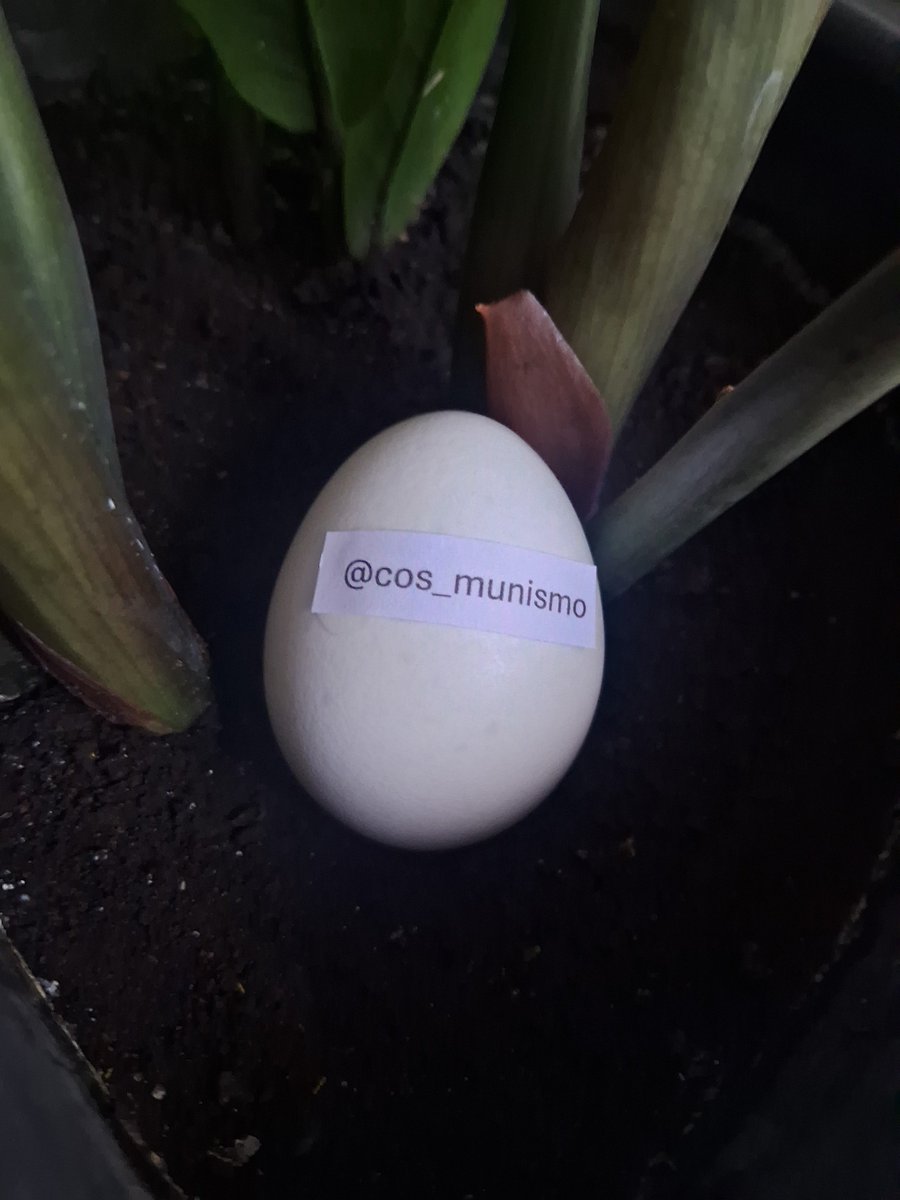 Usuovo's tweet photo. @cos_munismo thanks for the follow! https://t.co/YqmsotnPog