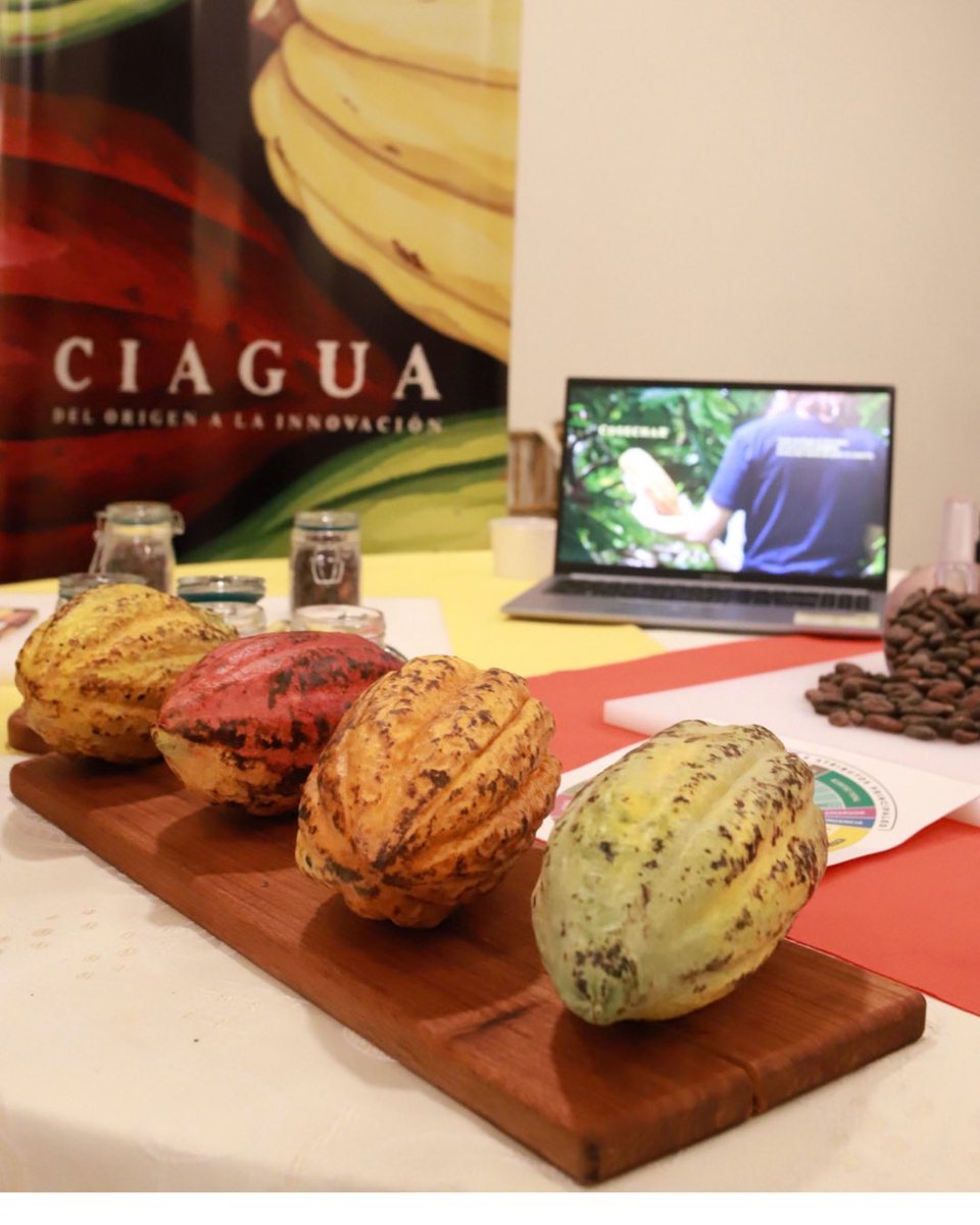 ATP_panama's tweet photo. Hoy participamos en la segunda edición de la Expo Café y Chocolate 2026, evento que reunió a productores de café, cacao, chocolate, miel y otros productos del país, principalmente de Azuero. Cientos de visitantes pudieron degustar, comprar y apoyar a los emprendedores locales. https://t.co/wmIypPHkvH