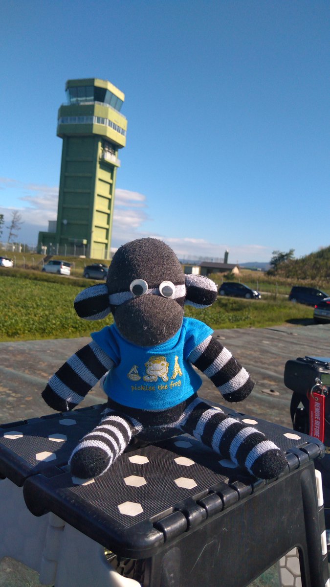 acm1192's tweet photo. おのくん帰省しました。
青空が眩しいです。
#松島基地 https://t.co/08WomdPpPE