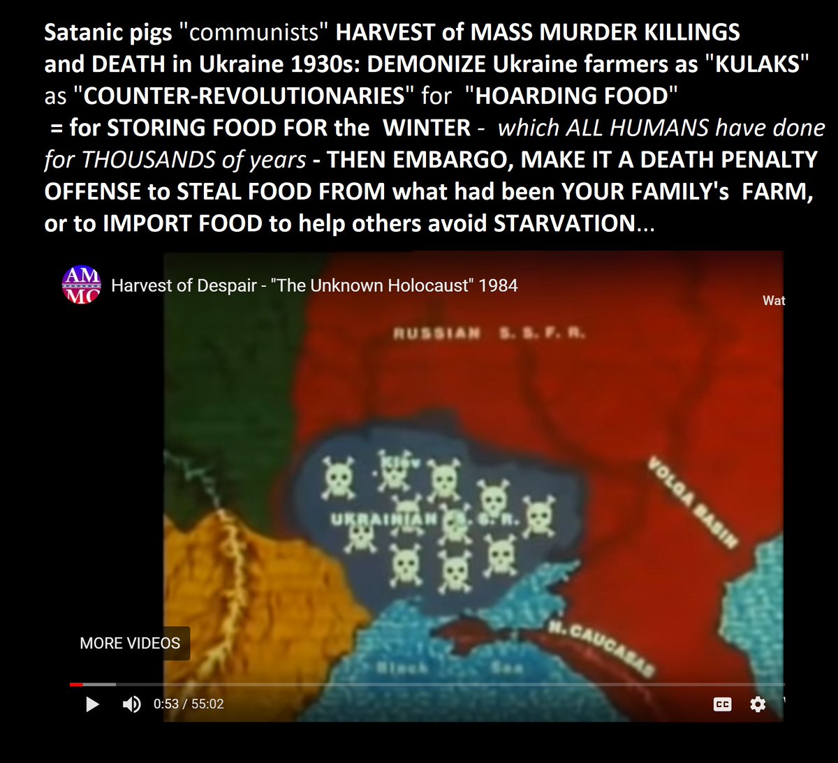 DarkMarkets's tweet photo. As the Trotsky graphic highlights, STARVING MILLIONS of Russians, Ukrainians, and ALL OTHER ethnic minorities  TO DEATH WAS THE PLAN from long before "the communist revolution" started