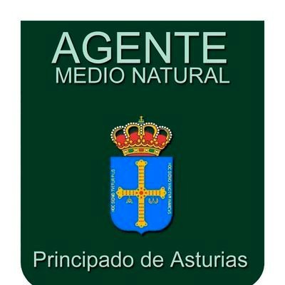 Marcoslrua's tweet photo. Siete lobos fueron abatidos en a penas un mes por mal llamados Agentes del Medio Natural del @GobAsturias. Pistoleros a sueldo de una asmistración lobófoba que denigran la profesión. 

Este logo de los @AgentesMN representa a funcionarios públicos  al servicio de la conservación de la naturaleza, no de convertir la eliminación de lobos en una rutina administrativa.

Cuando se pone el gatillo por delante de la conservación  la función de los  Agentes del Medio Natural, queda reducida a la de  simples ejecutores al servicio de órdenes políticas que buscan sacar algún tipo de rédito.

Porque conservar no significa eliminar aquello que incomoda a determinados intereses particulares.
