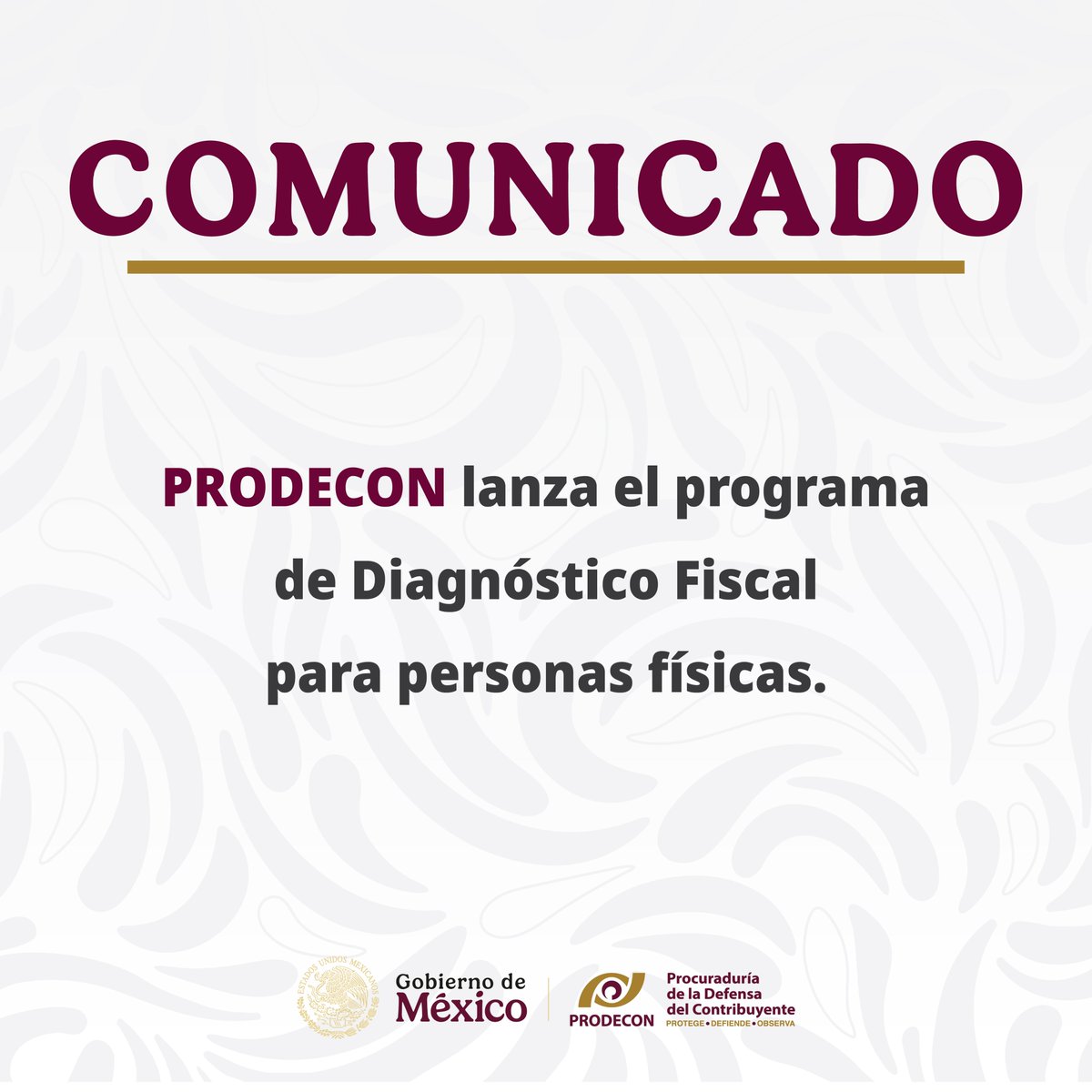 ProdeconMexico tweet picture