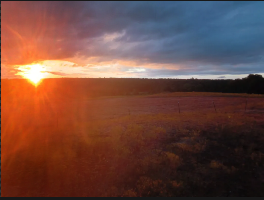 MarkerSniffer49's tweet photo. (my camera is ass sorry)
oklahoma is boring but atleast its pretty sometimes https://t.co/10SIrK2OMS