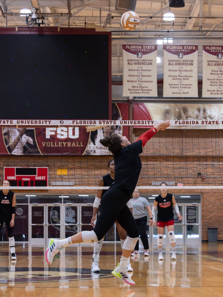 PackVball's tweet photo. 📍 Sunshine State https://t.co/hISnDIj4hP