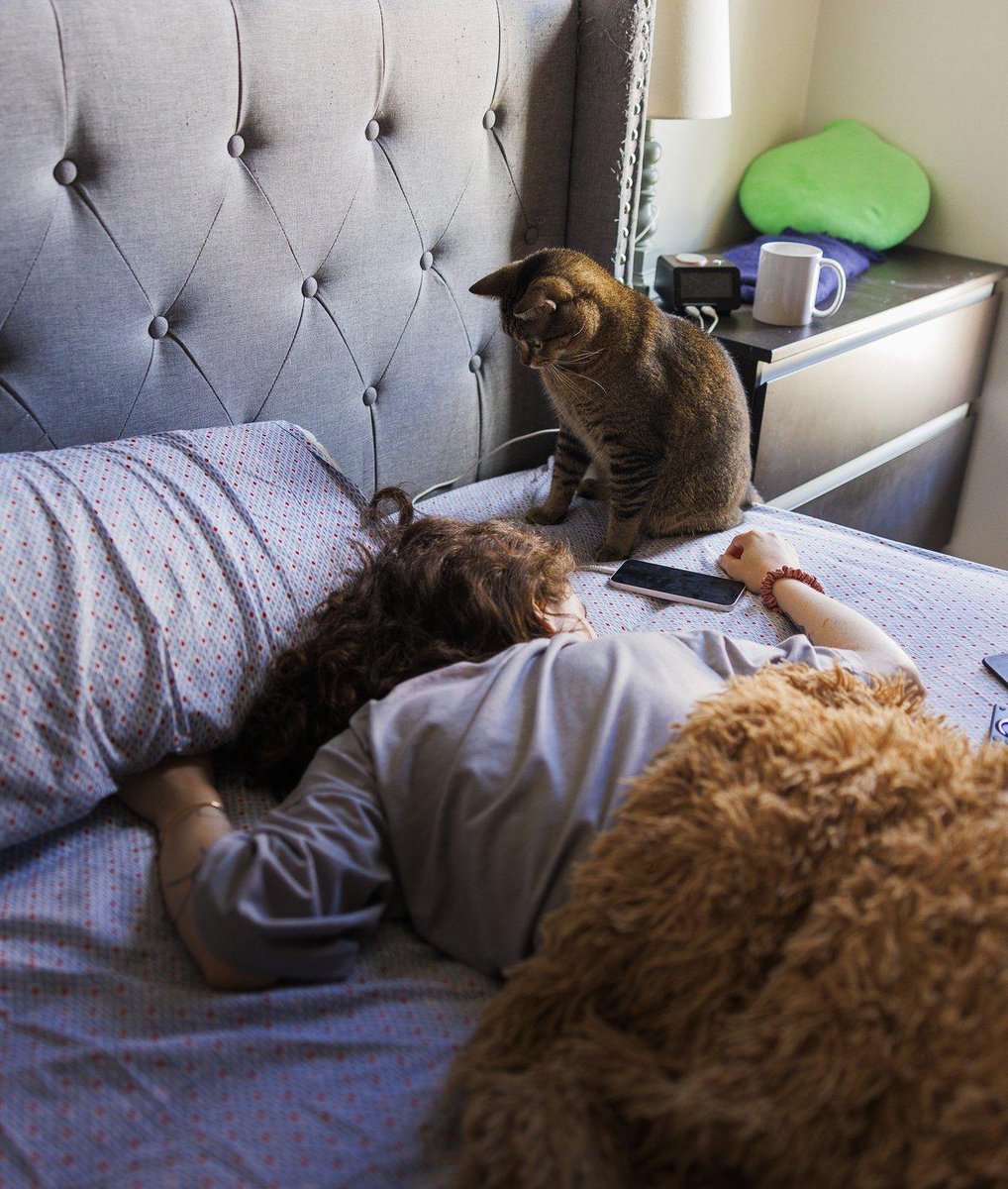DianeLegacy1's tweet photo. I thought I adopted a cat.

Turns out, I got a roommate who:
• Pays no rent
• Steals my bed
• Demands food
• Judges everything I do 😼
And somehow… I still feel lucky. ❤️
Cat owners, how accurate is this?
#Cats #CatLife #FunnyCats #PetLovers https://t.co/FIRRBskC9k