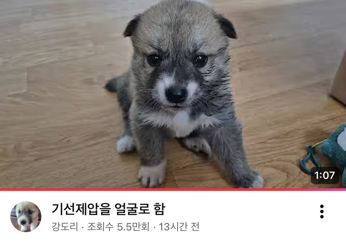gong711805's tweet photo. 모든 걸 삼켜버릴
                                     ˗ˋˏ 블랙맘바 ˎˊ˗ https://t.co/70MK4gznKA