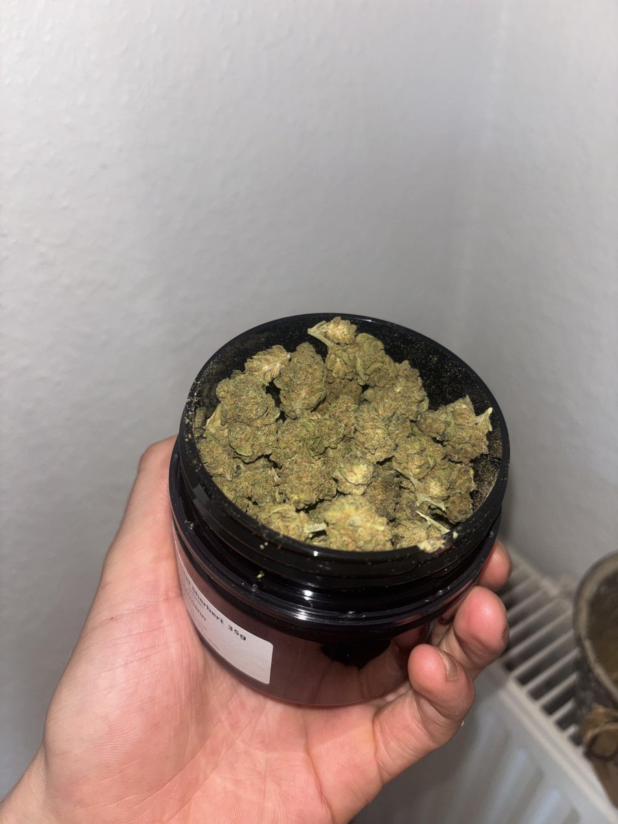 Hellaslump3187's tweet photo. 35gs of Sunset Sherbert 21/1 smallz
I know it doesnt look good, but it gets me high so yeah.

#onlyplants #Mmemberville #virginiaisforgrowers #CannabisCommunity #Weed #growyourown #plants
#FuckDispoWeed https://t.co/0x2ilduiDB